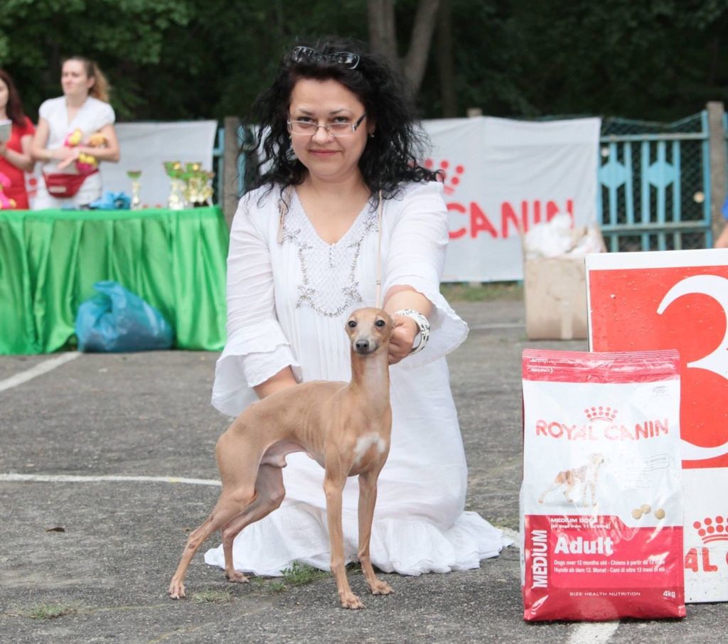 Royal canin italian outlet greyhound