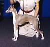 Profile picture of the animal