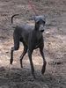 Profile picture of the animal