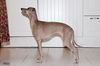 Profile picture of the animal