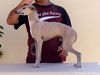 Profile picture of the animal