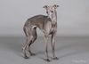 Profile picture of the animal