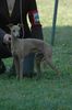 Profile picture of the animal