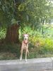 Profile picture of the animal